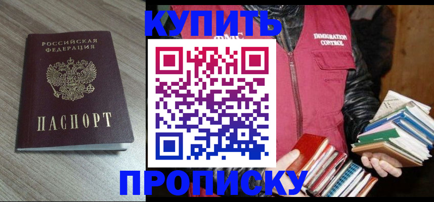 прописка 2025 в Волжске